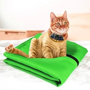 Un gatto seduto su una coperta appena lavata
